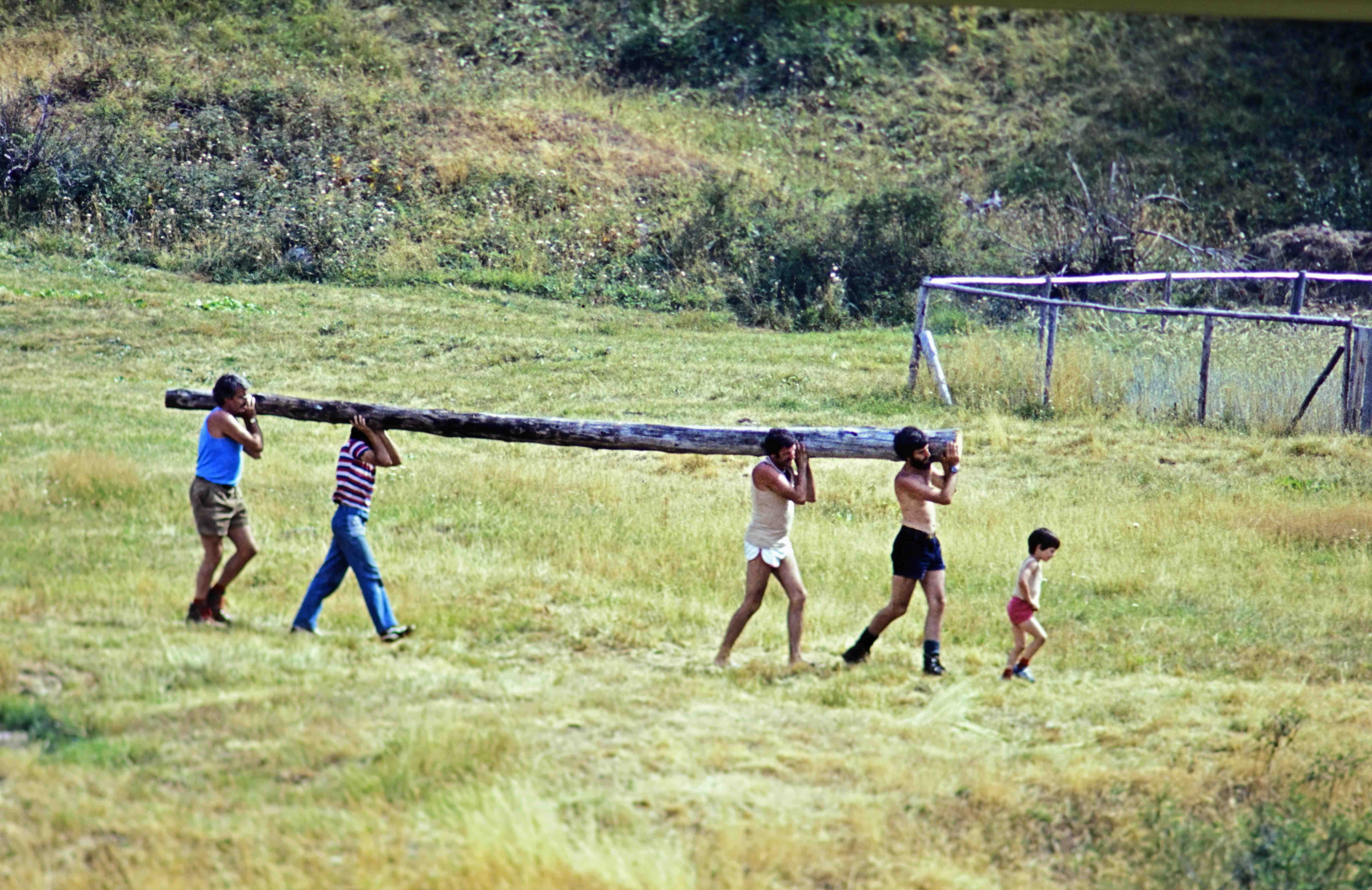 Ces-Holzstamm_tragen-modifiziert.jpg